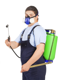 Dedetizadora em Florianópolis