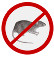 Rato