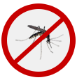 Mosquito
